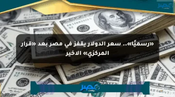 «رسميًا».. سعر الدولار يقفز في مصر بعد «قرار المركزي» الأخير